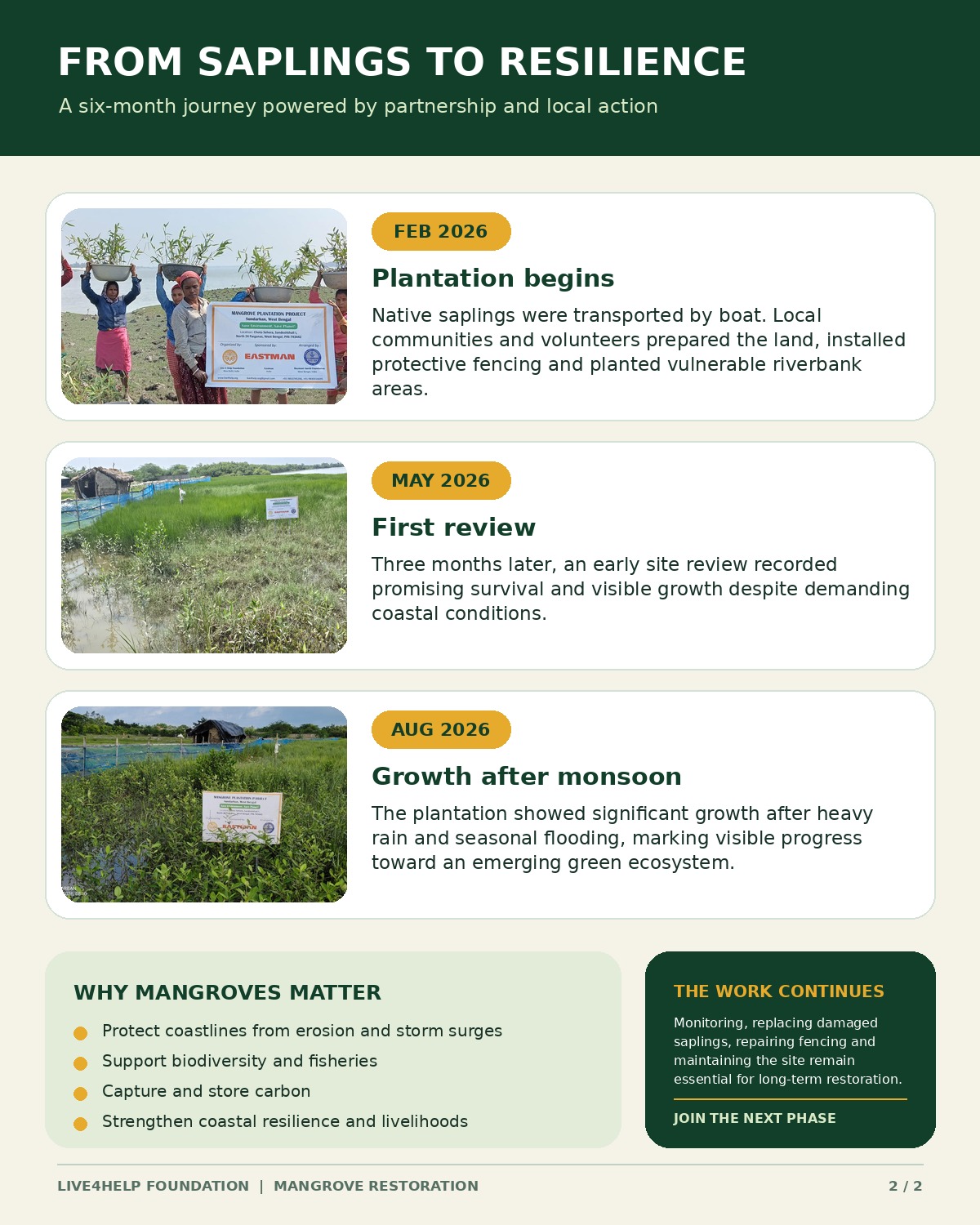 Six Months Later: A Green Shield Takes Root in the Sundarbans detail 6