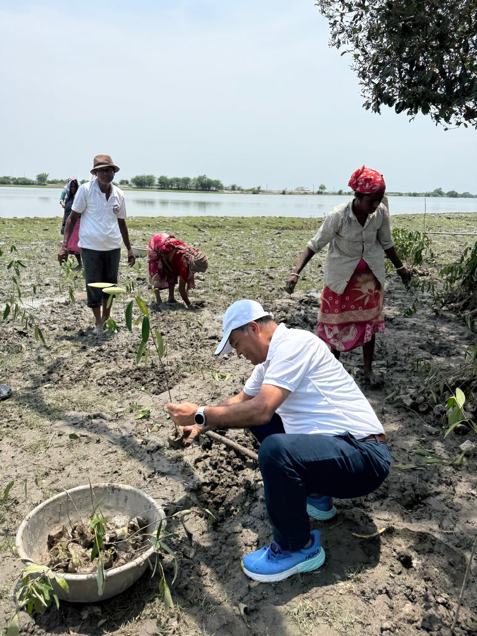 Restoring Coastal Resilience Through CSR: Mangrove Plantation Initiative in Sundarban, West Bengal detail 1