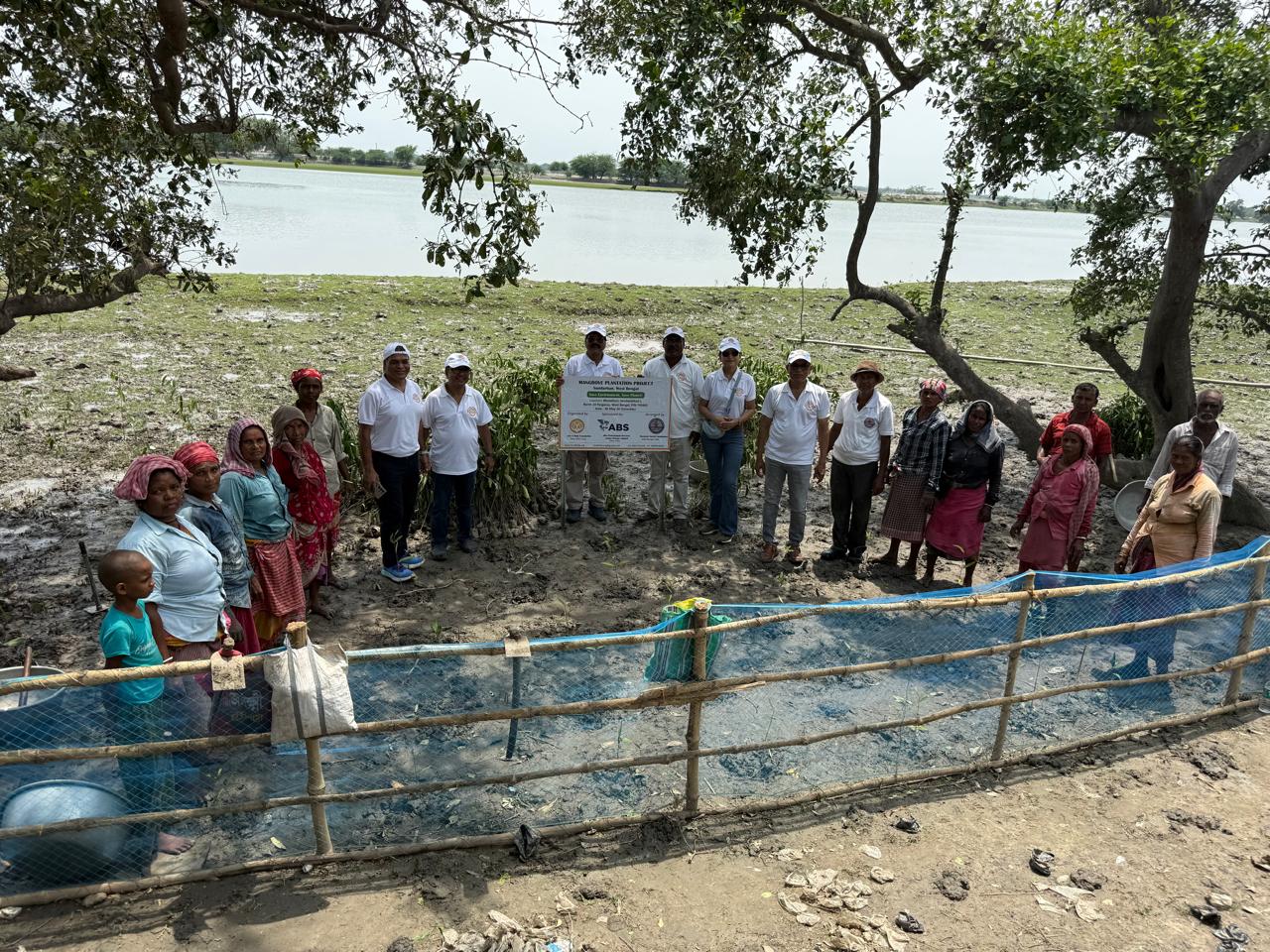Restoring Coastal Resilience Through CSR: Mangrove Plantation Initiative in Sundarban, West Bengal detail 2