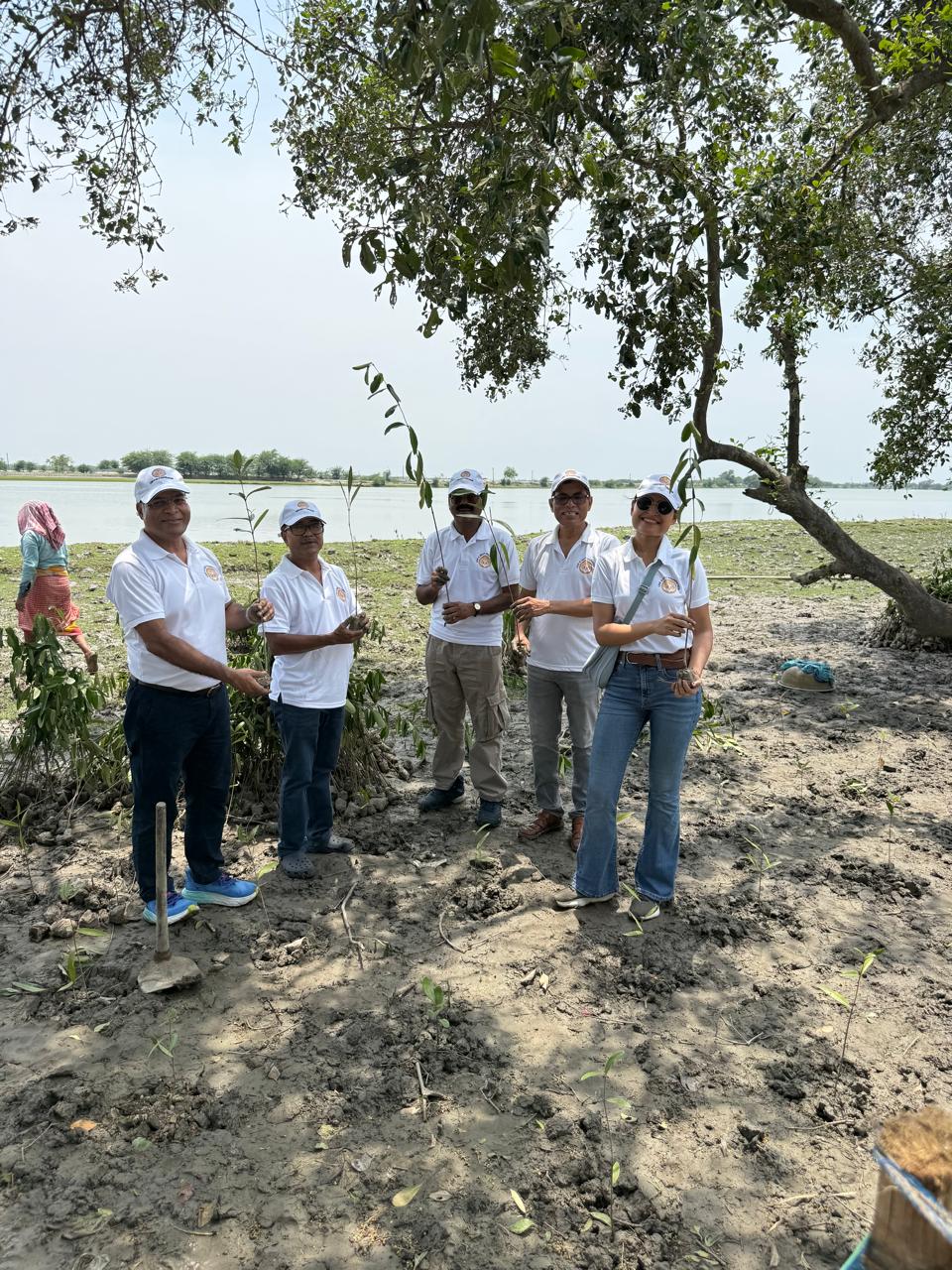 Restoring Coastal Resilience Through CSR: Mangrove Plantation Initiative in Sundarban, West Bengal detail 3