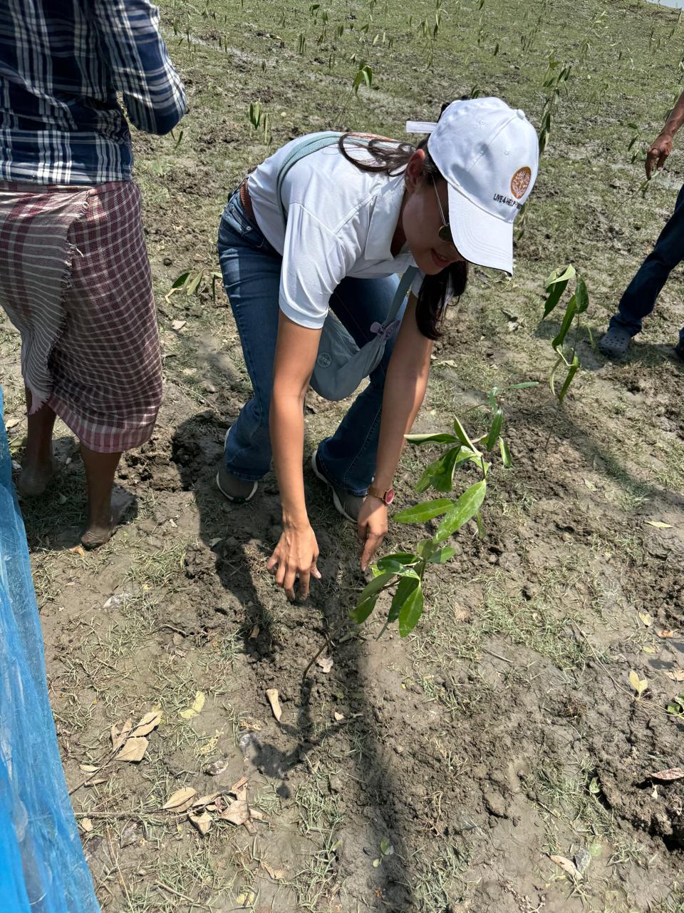 Restoring Coastal Resilience Through CSR: Mangrove Plantation Initiative in Sundarban, West Bengal detail 4