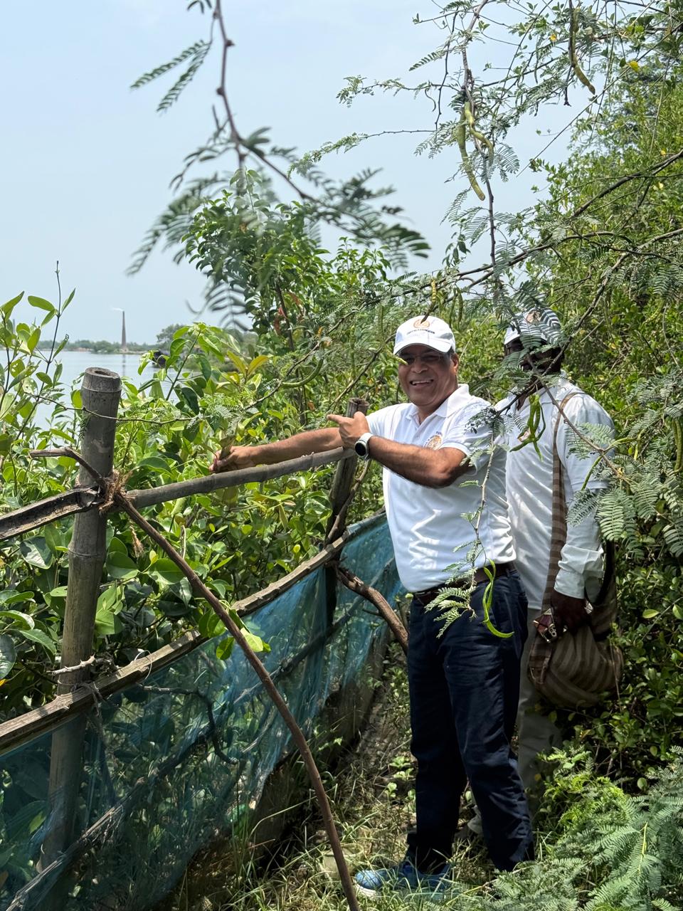 Restoring Coastal Resilience Through CSR: Mangrove Plantation Initiative in Sundarban, West Bengal detail 5