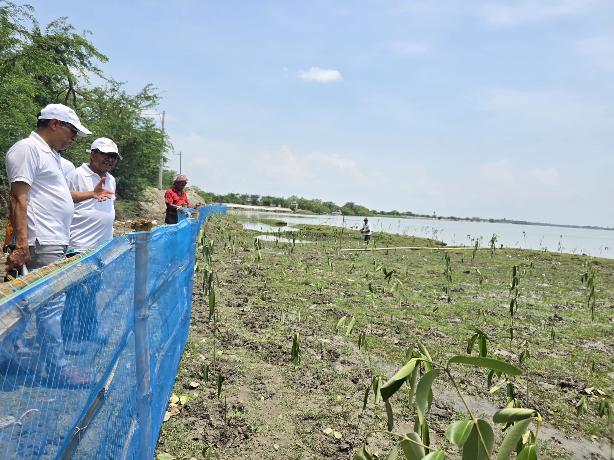 Restoring Coastal Resilience Through CSR: Mangrove Plantation Initiative in Sundarban, West Bengal detail 9