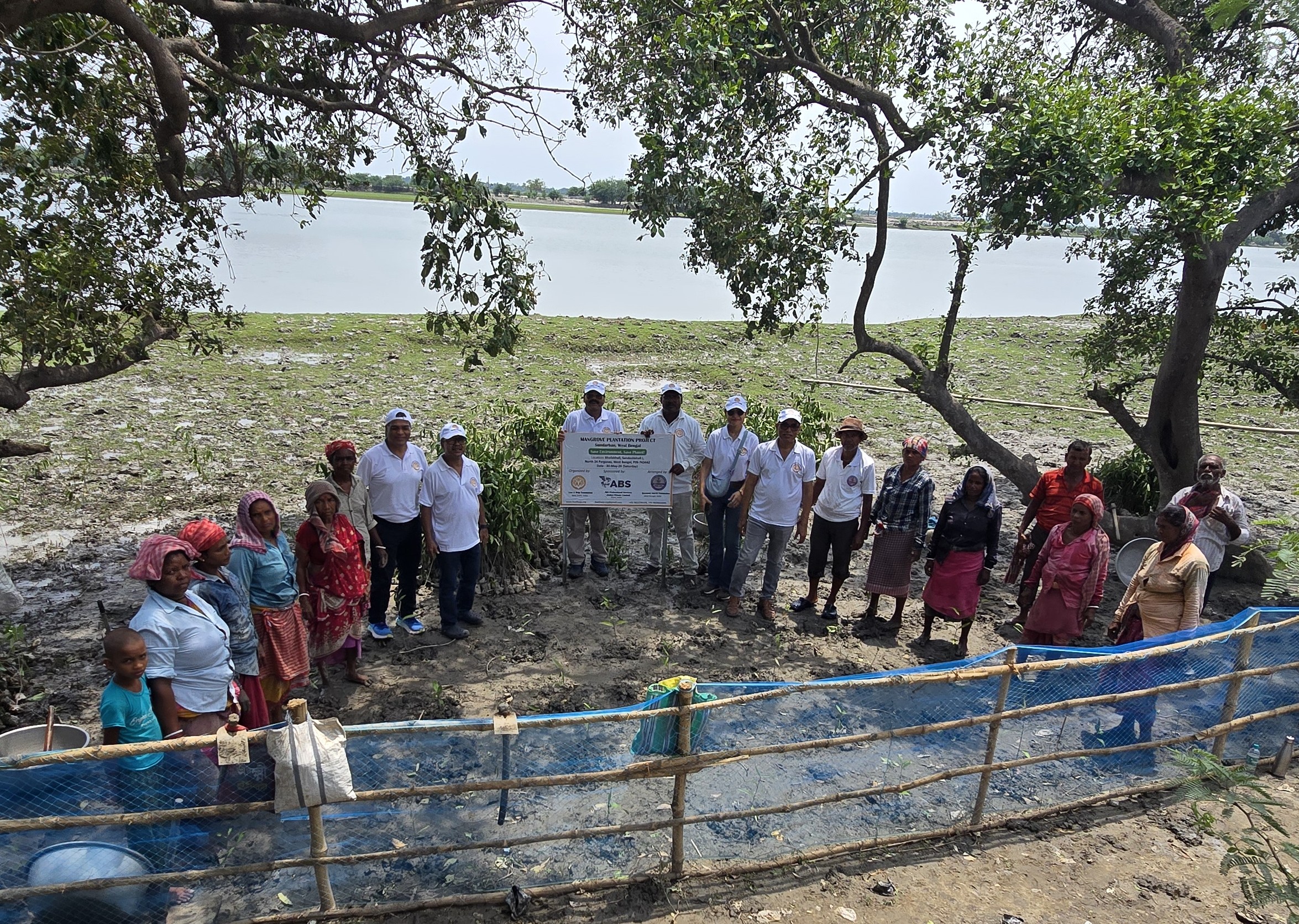 Sundarban Mangrove Restoration